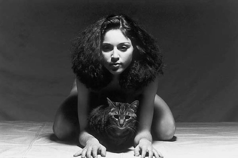 Erotica 1992 Madonna Album Cover