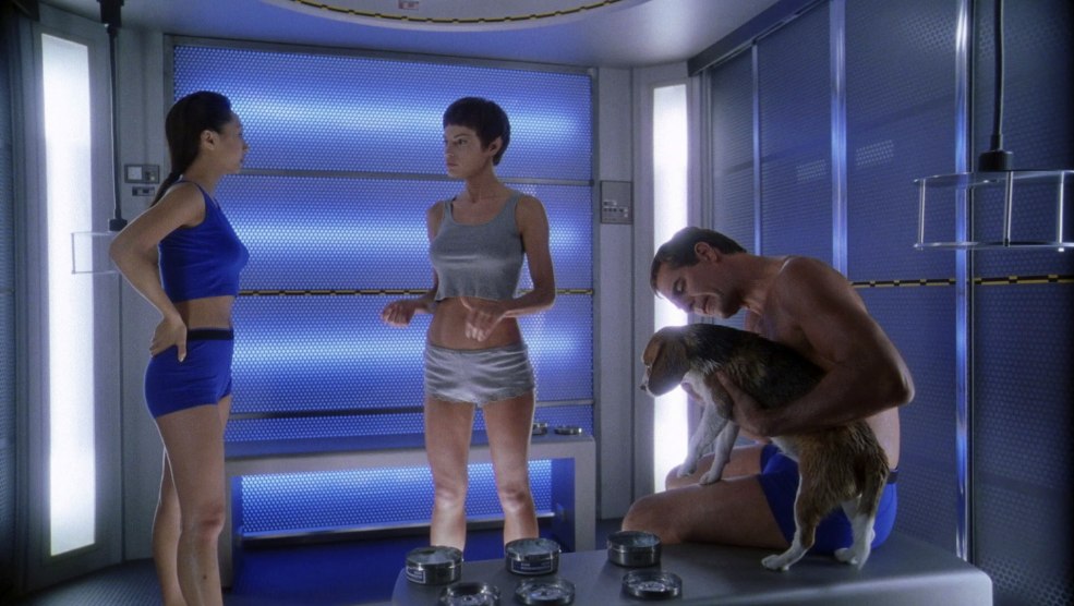 Katherine Heigl Vibrotruki