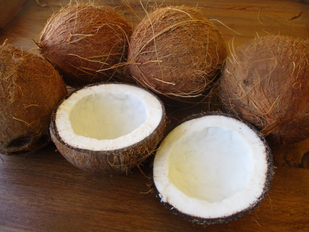 Lait de coco pour la nourriture