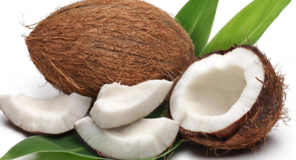 Noix de coco sur fond blanc