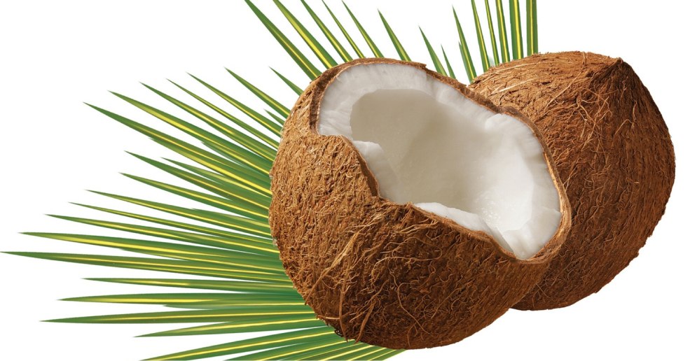 Noix de coco sur fond bleu