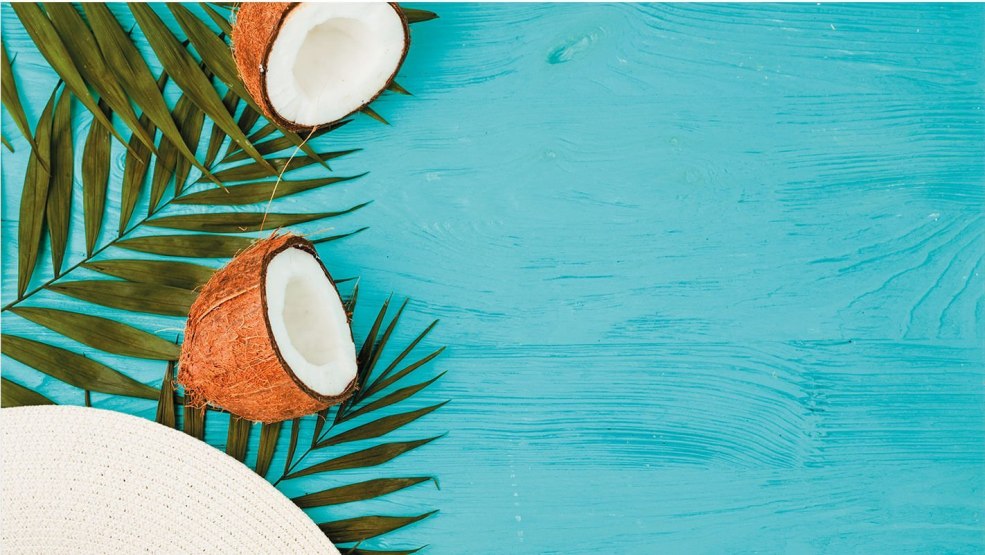 Tranches de noix de coco