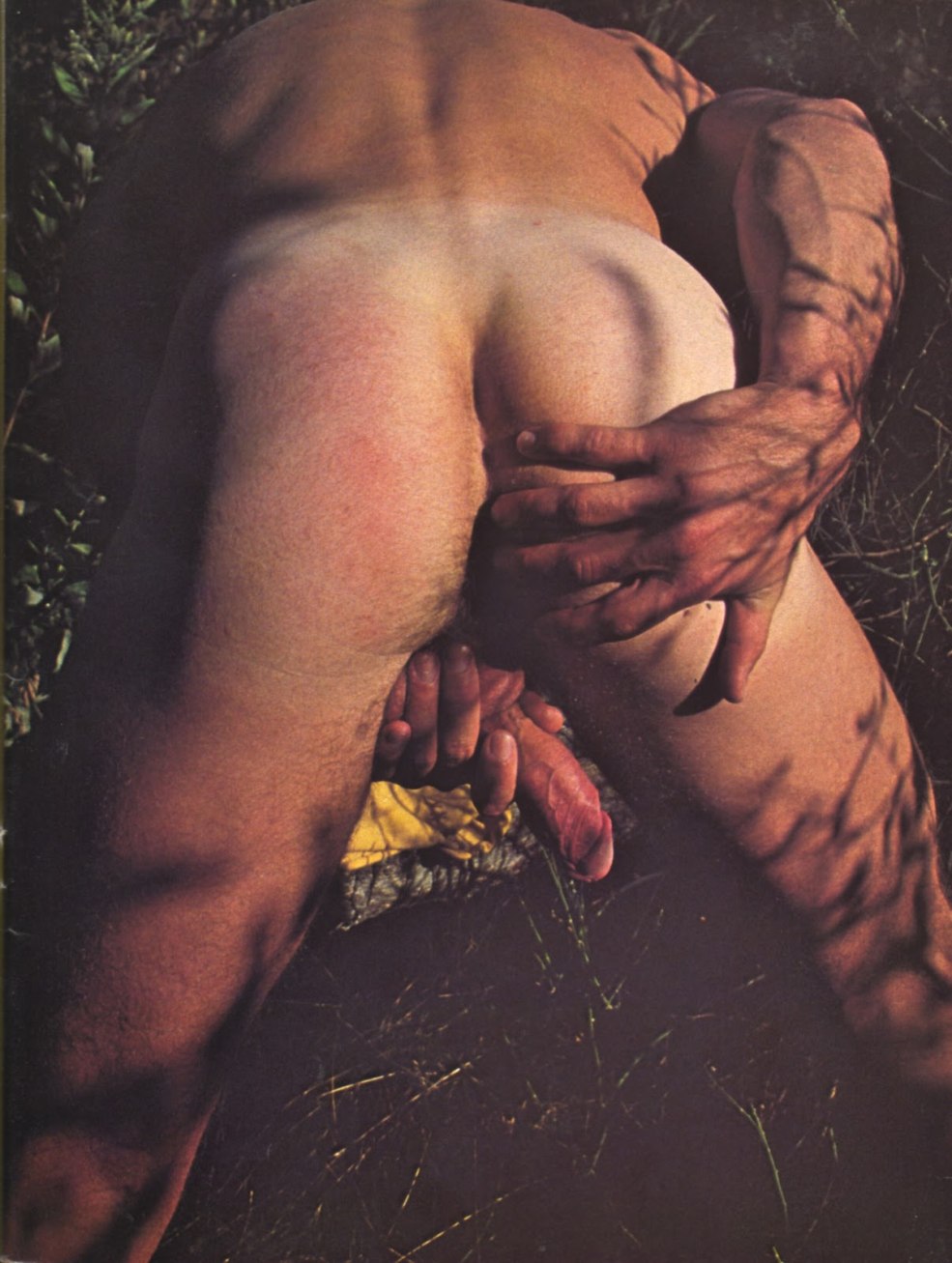 Homoérotique masculine