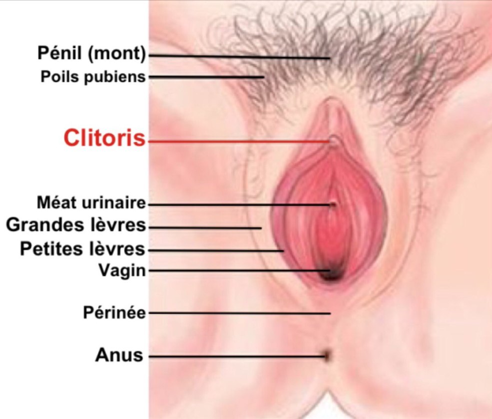 Un essaim d'araignée