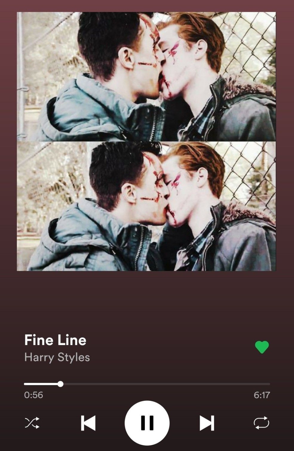 Gallavich Ian et Mickey