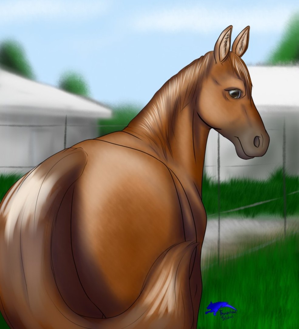 Chevaux de cheval furri