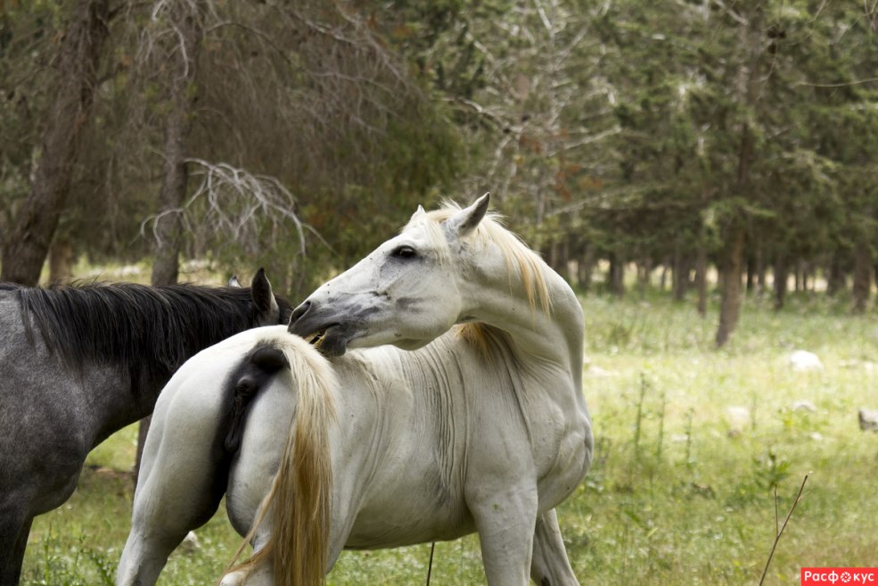 Essuyer le connecteur Ethernet RJ45