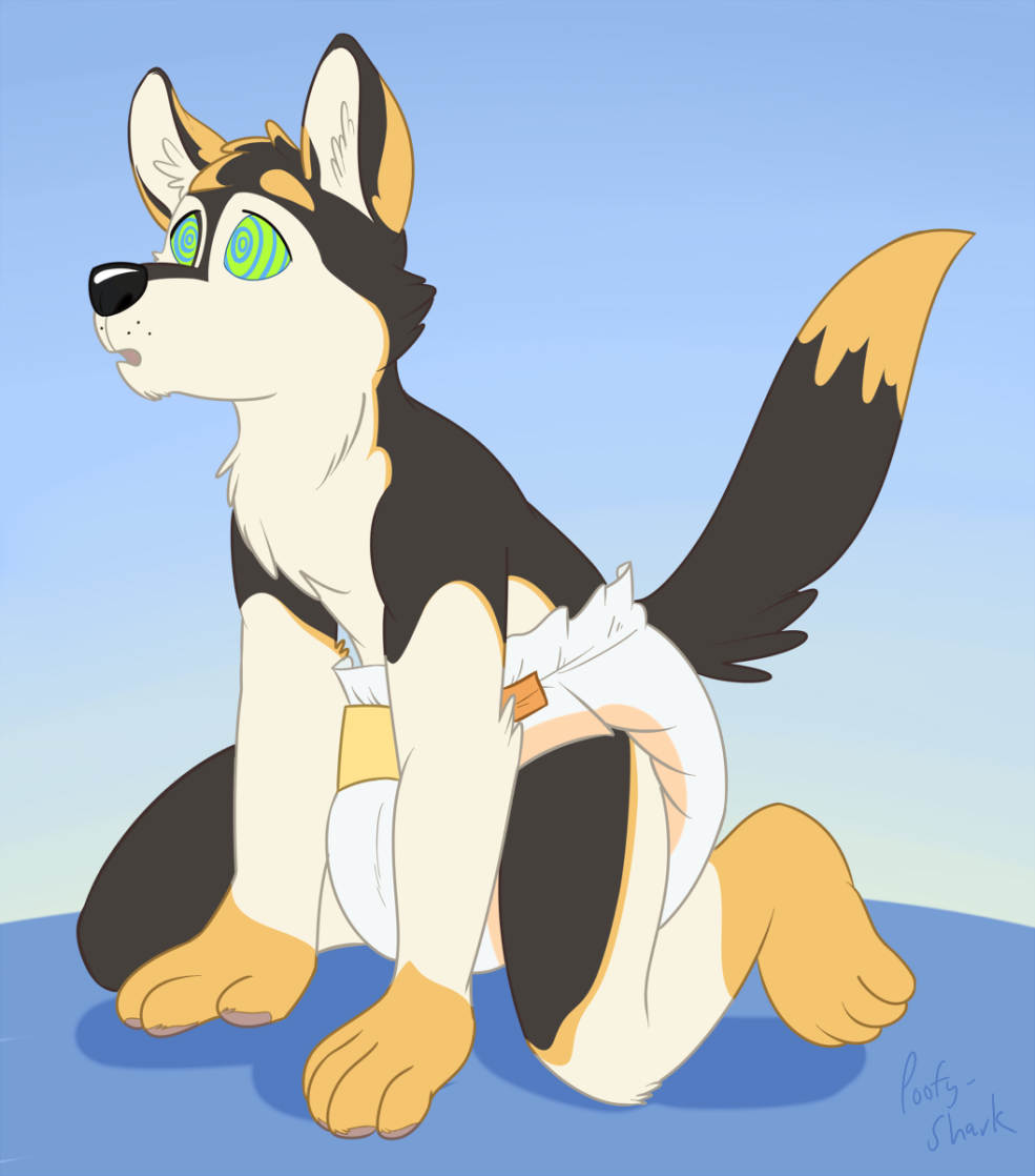 Furri le chien est assis