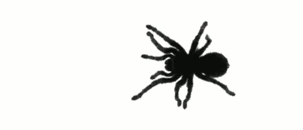 Spider rampe sur l'écran