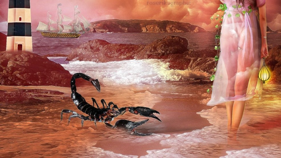 Blanc pour vérifier l'écran