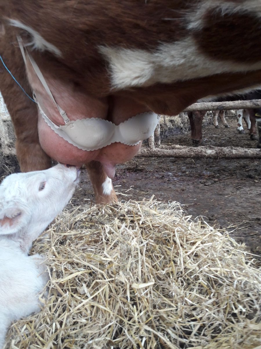 Table de calcul BMI par hauteur et poids