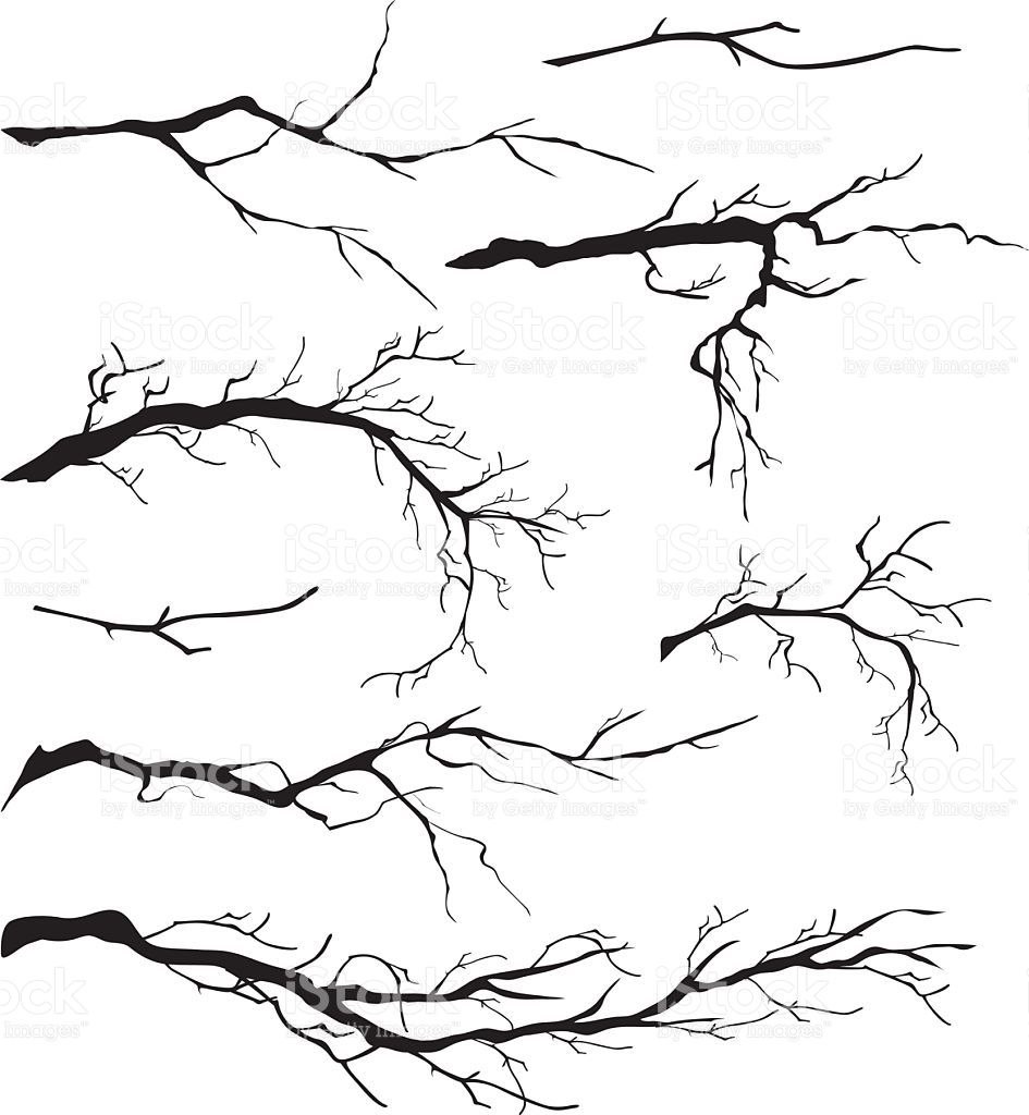 Branche de planification