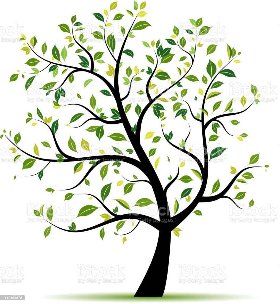 Image du bois avec des branches