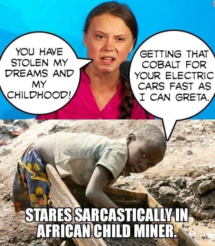 Greta Tunberg 2020