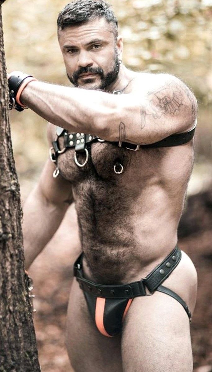 Rogan Richards Daddy Bear