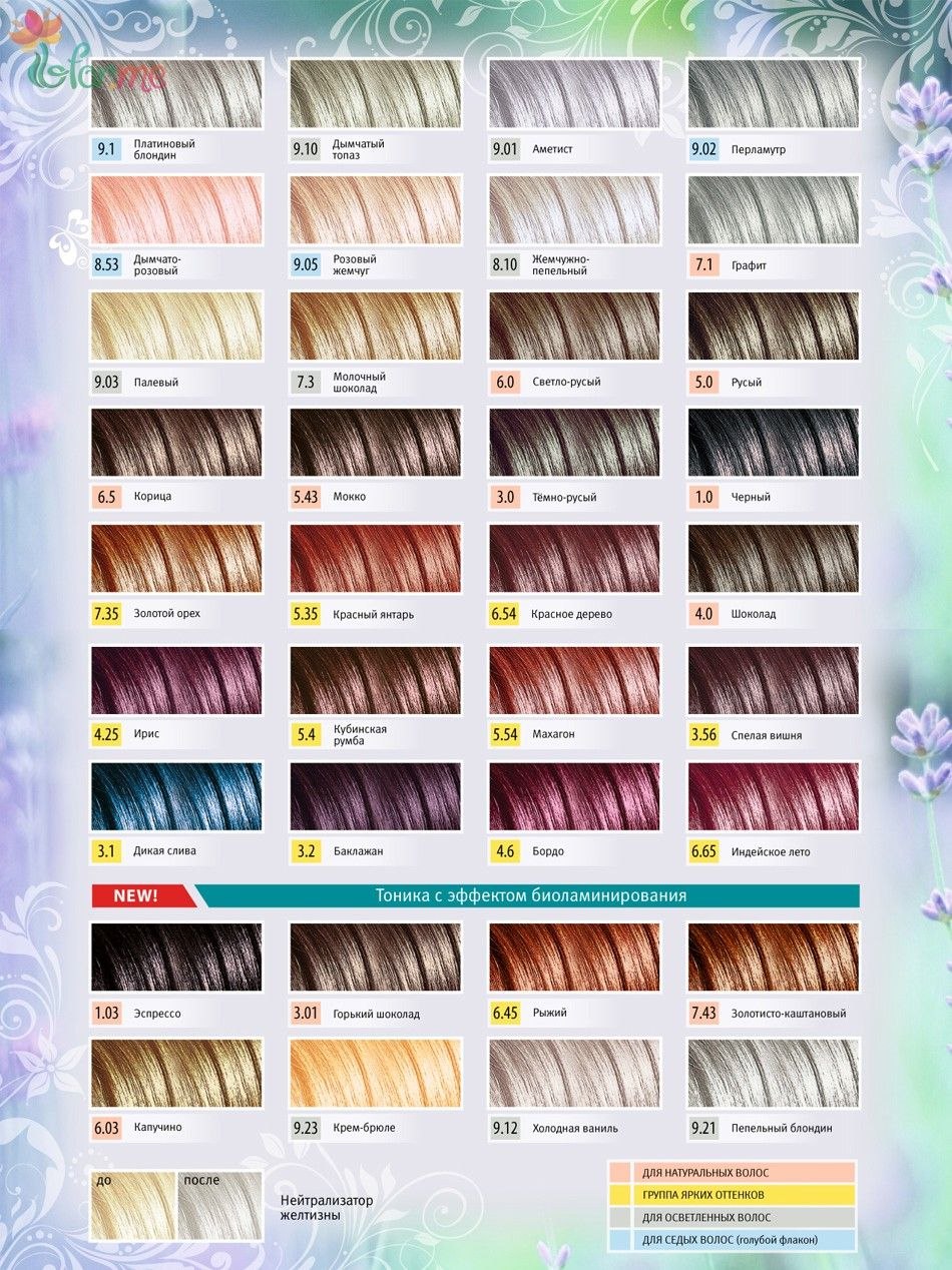 Ash ombre sur le carré des cheveux noirs