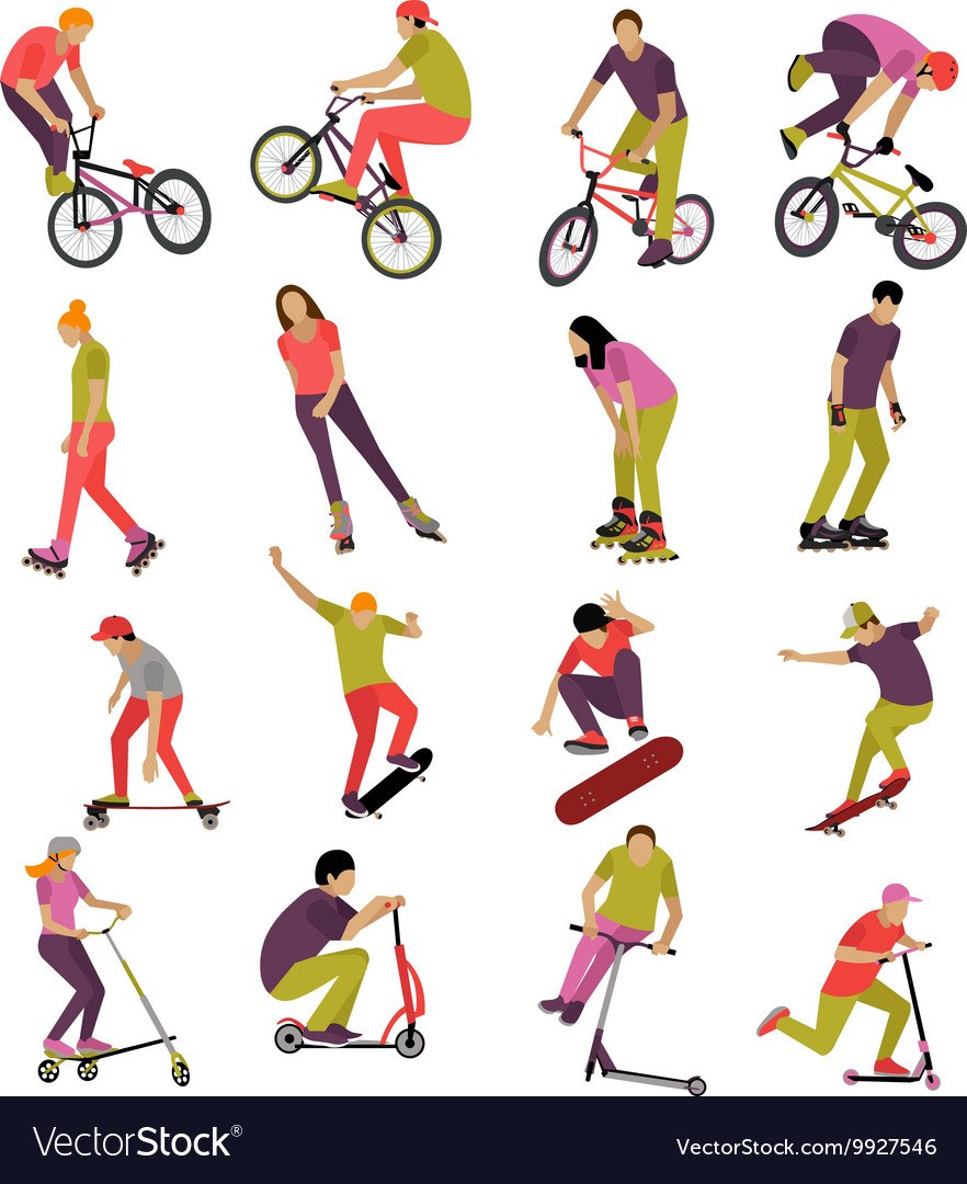 Poussin sur un scooter