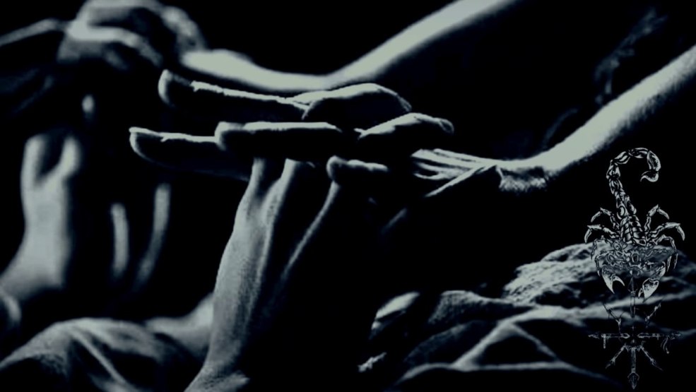 Beau anal passionné