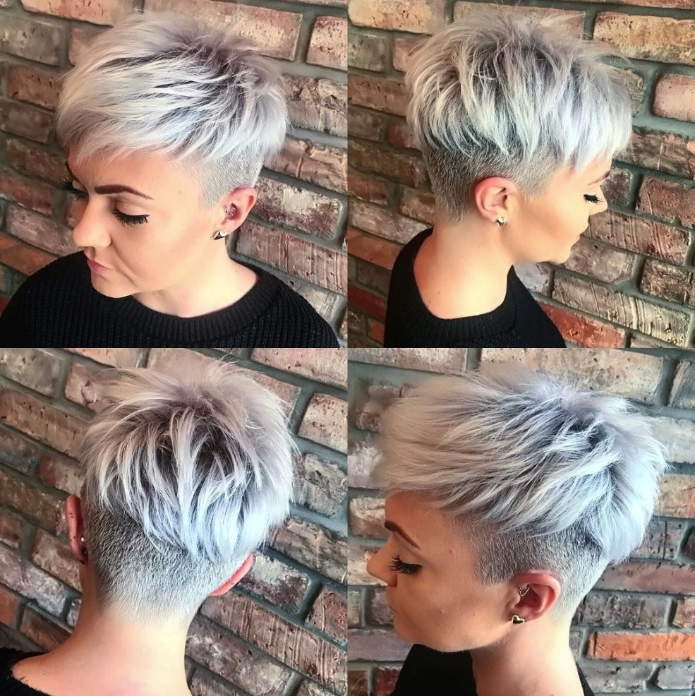 Pixie Anderkat coréen