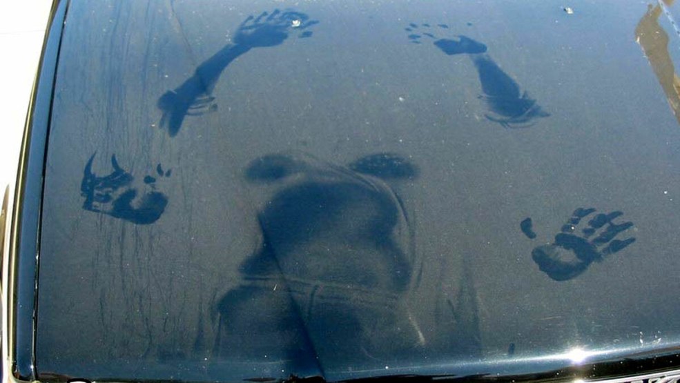 Passion et amour dans la voiture