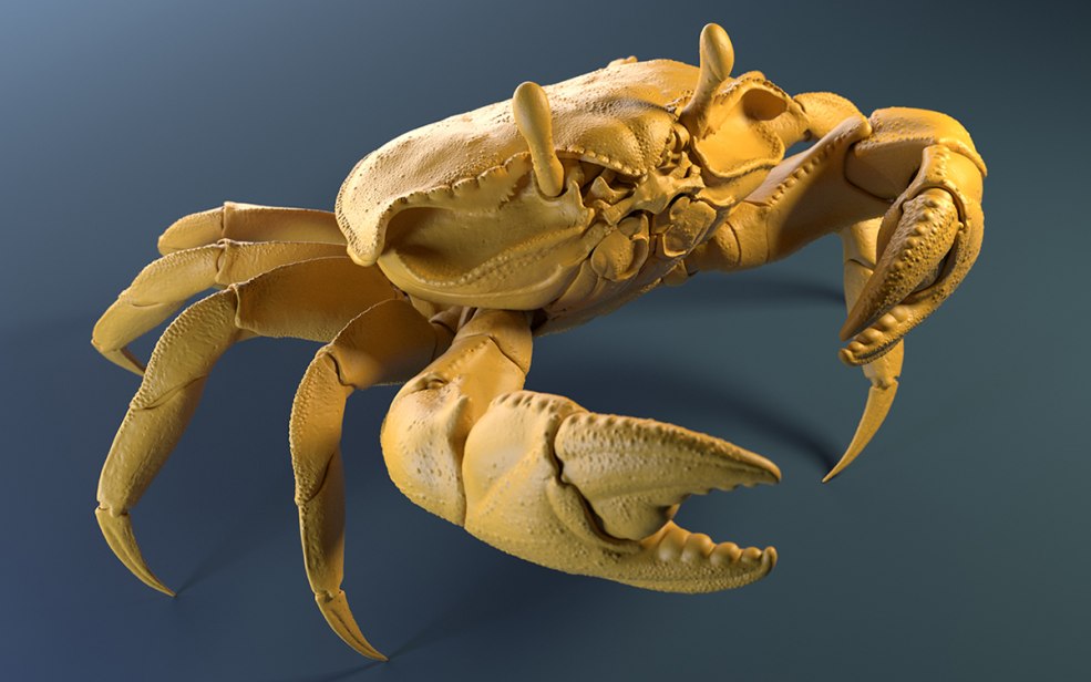 Jeunes hommes sans complexes