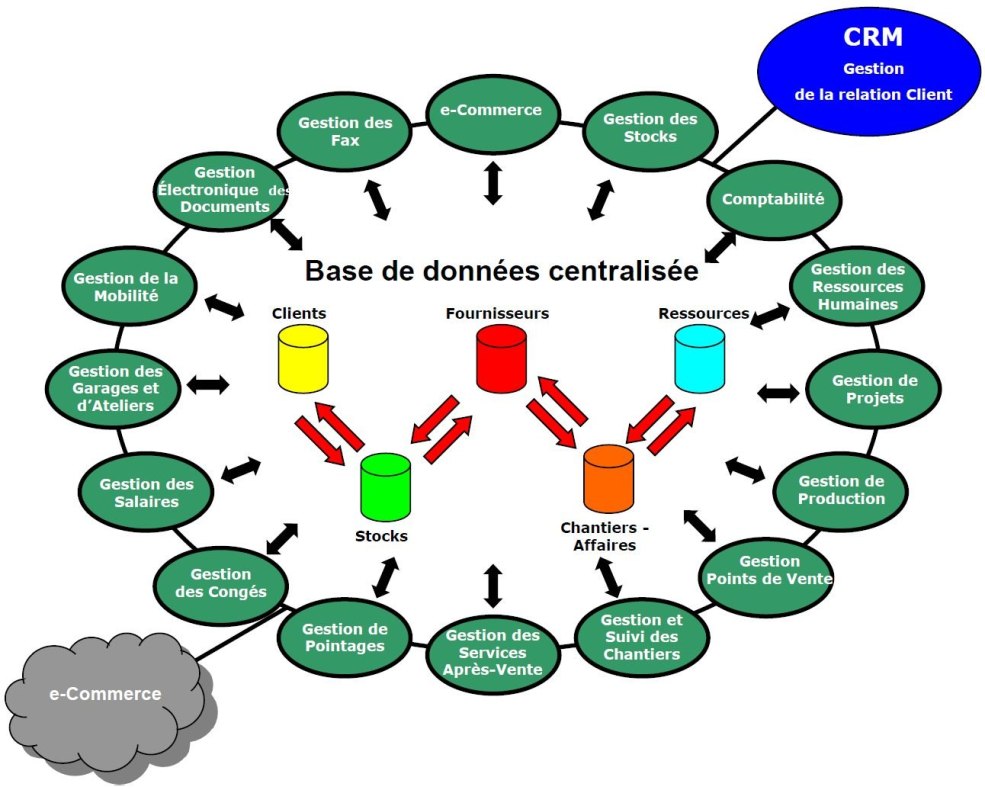 GIF de vache polonaise