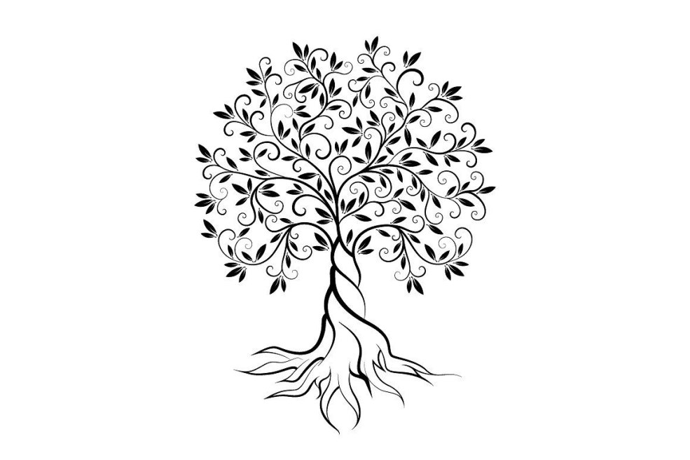 Silhouette d'olivier