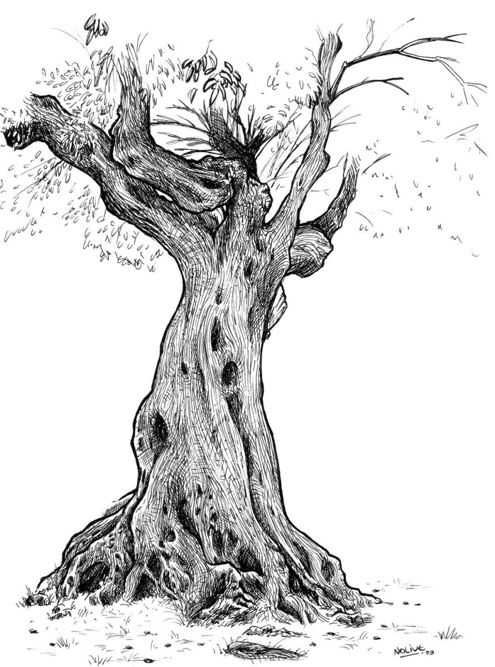 Dessin d'arbre avec un crayon