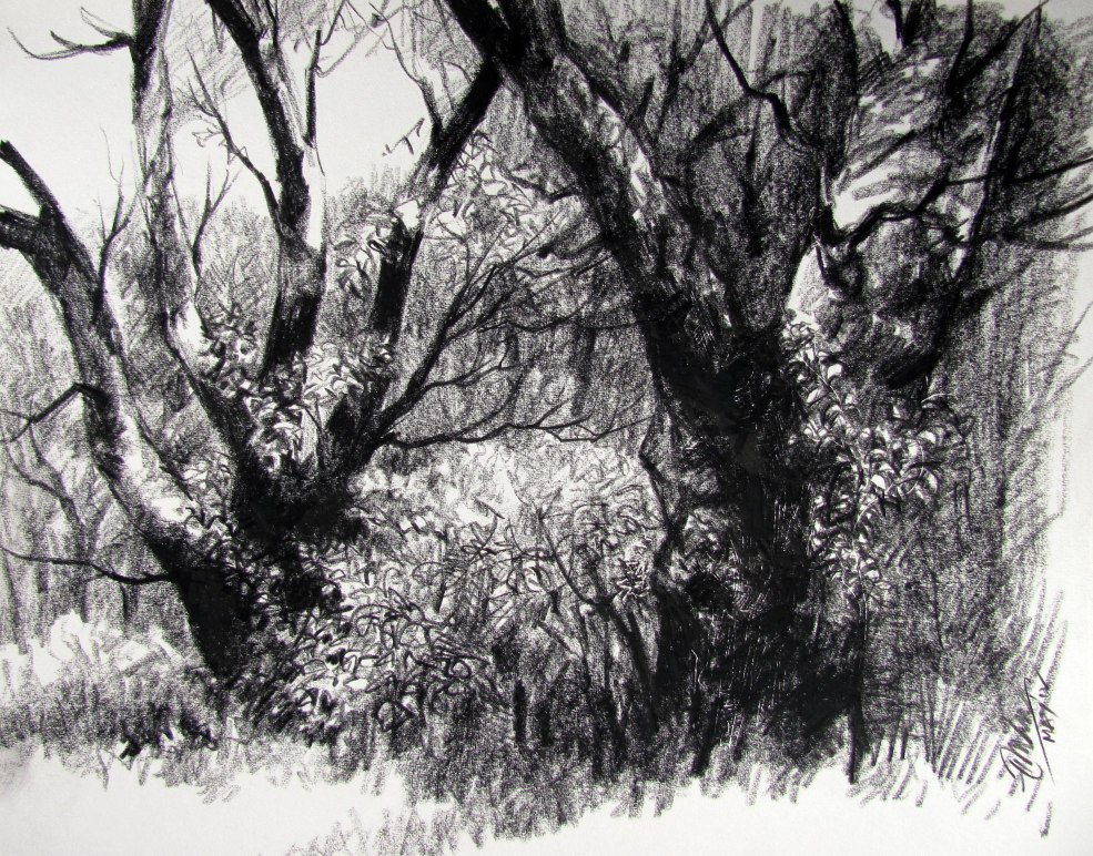 Levitan Shishkin Croquis d'arbres