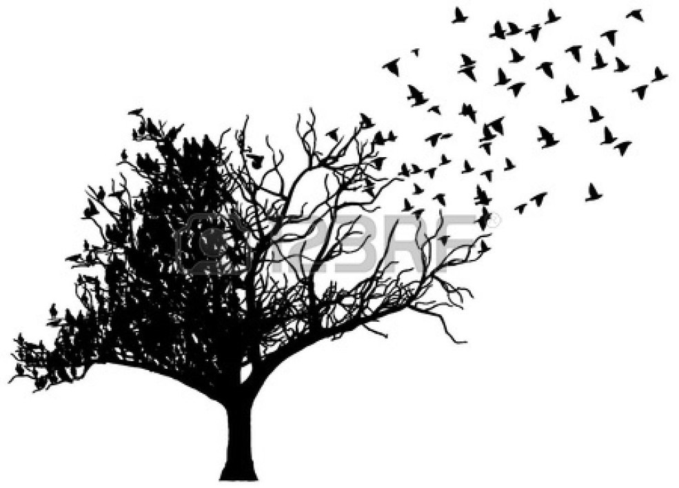 Silhouette d'un arbre avec des oiseaux
