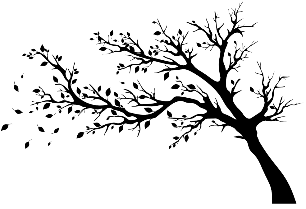 Branches d'arbres silhouette