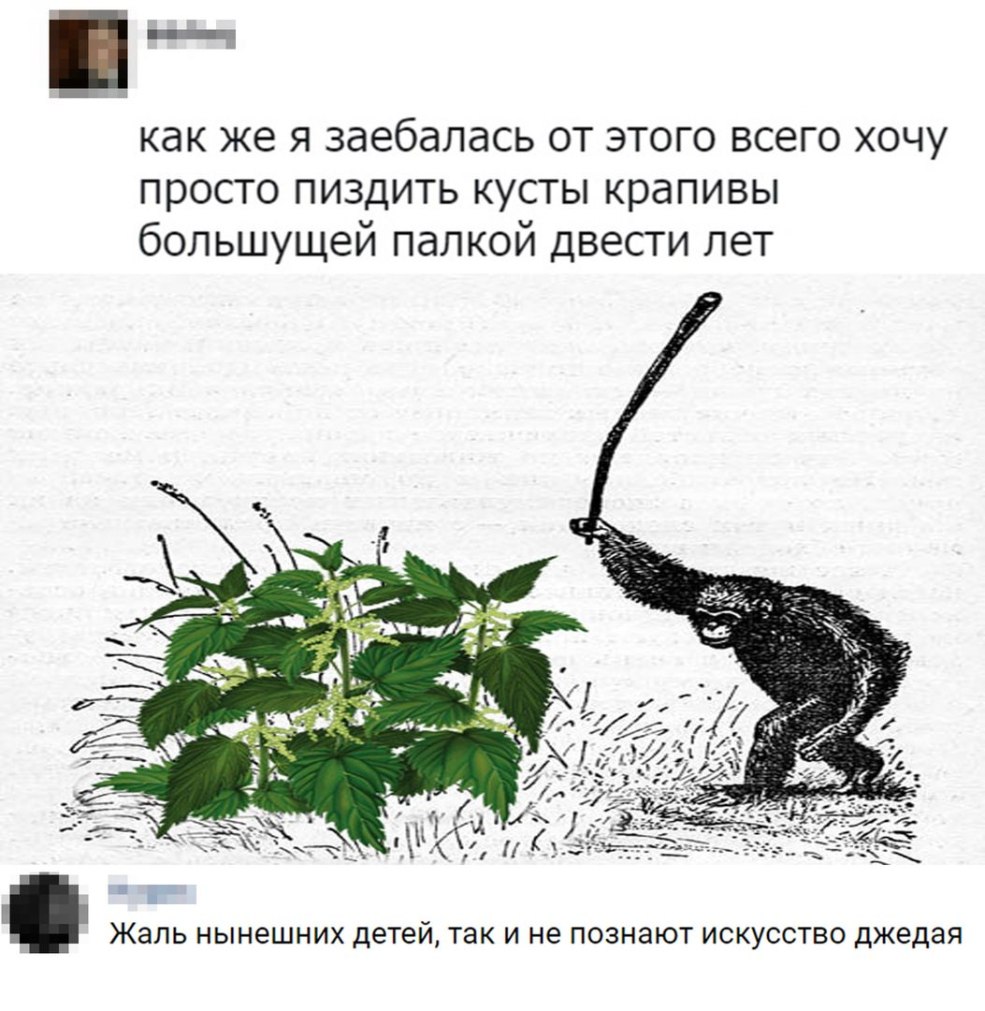 Impact sableux de Genshin