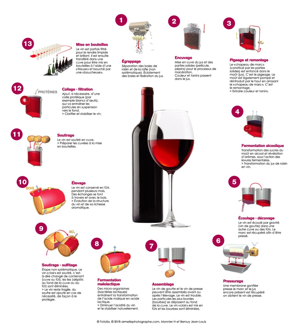 La structure de la culpabilité