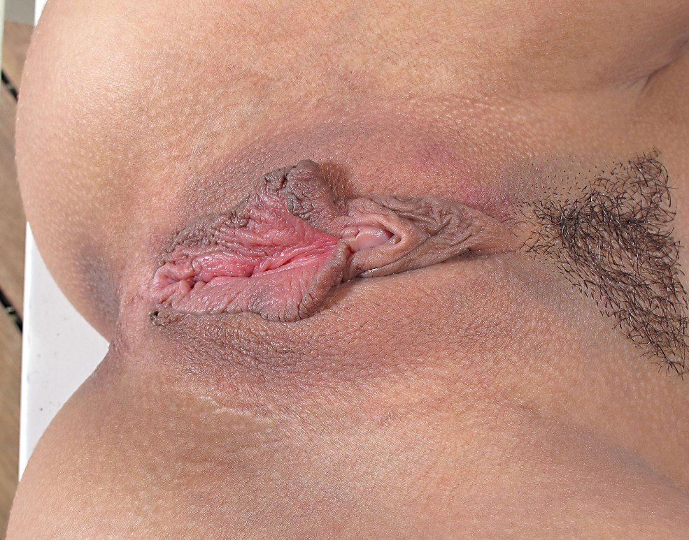 Vipissy.com - Ani Black, Bibi Fox - The Visitor