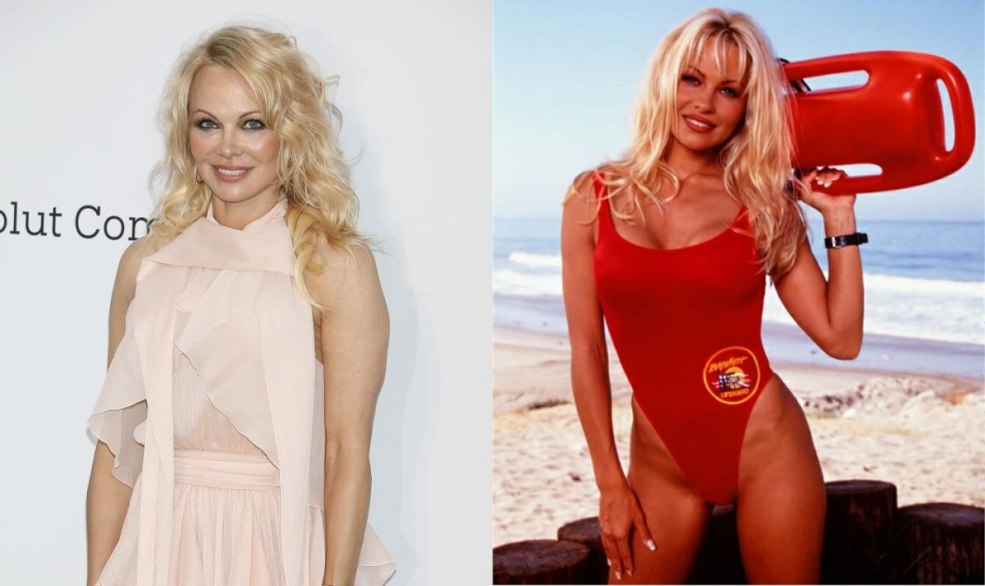 Pamela Anderson Rescurers Malibu 2017