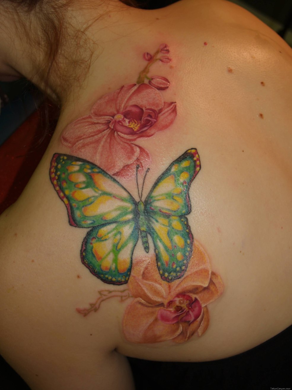 Orchidée de tatouage avec un papillon