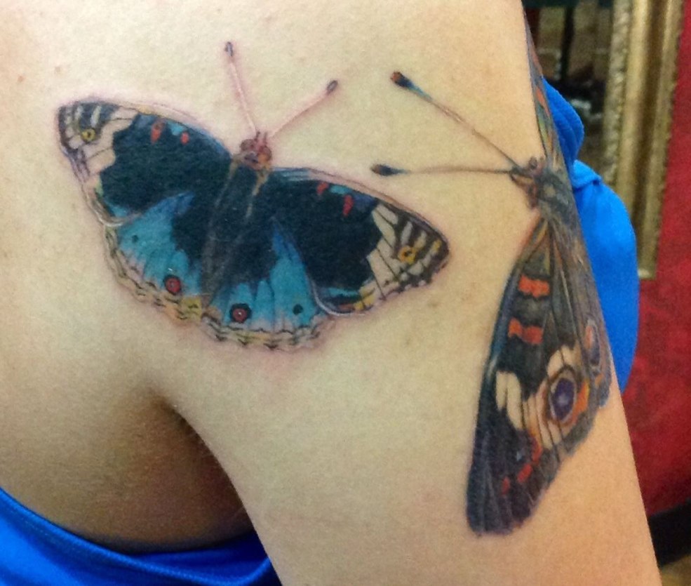 Membre de papillon de tatouage