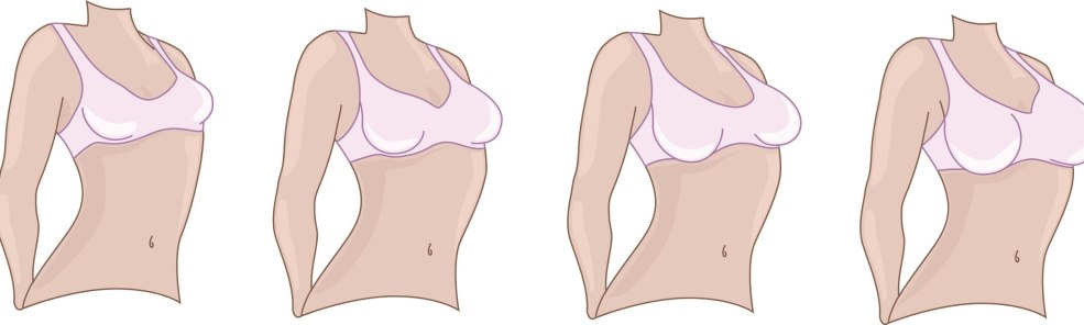 Les dimensions du sternum chez les femmes