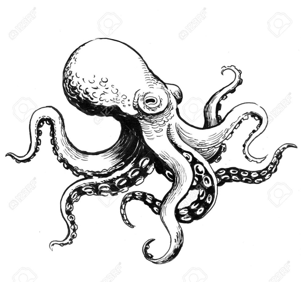 Octopus avec un stylo noir