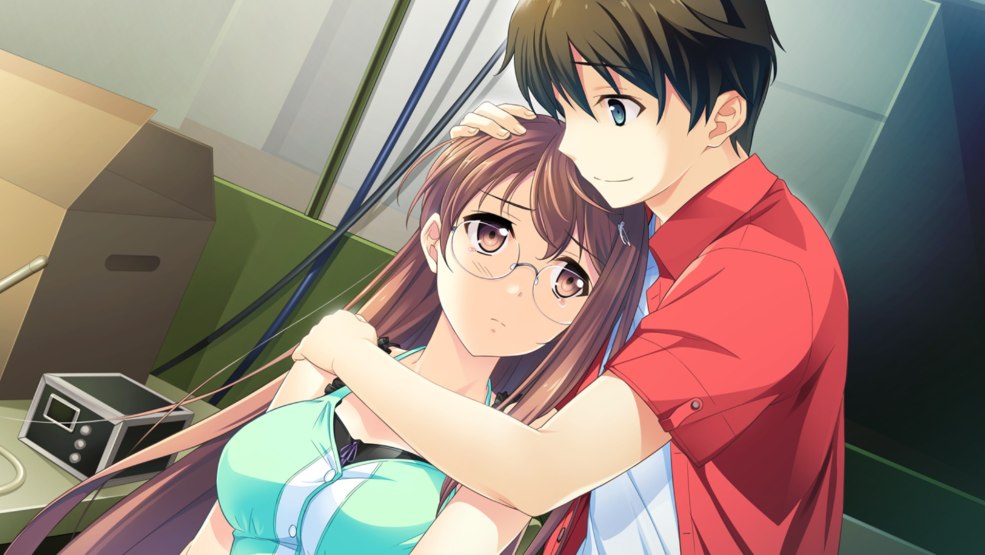 Roman si mon cœur avait des ailes