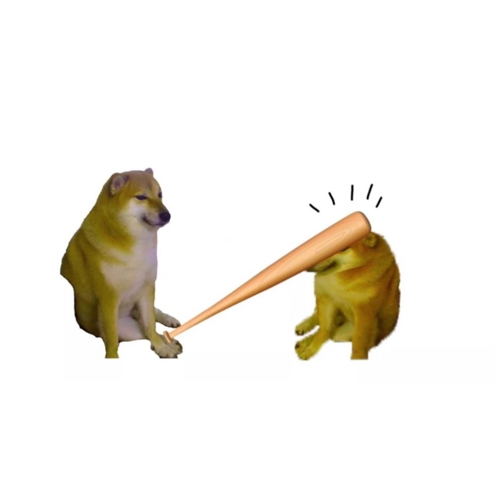 Un chien avec une batte