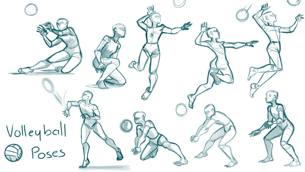 Références des joueurs de volleyball