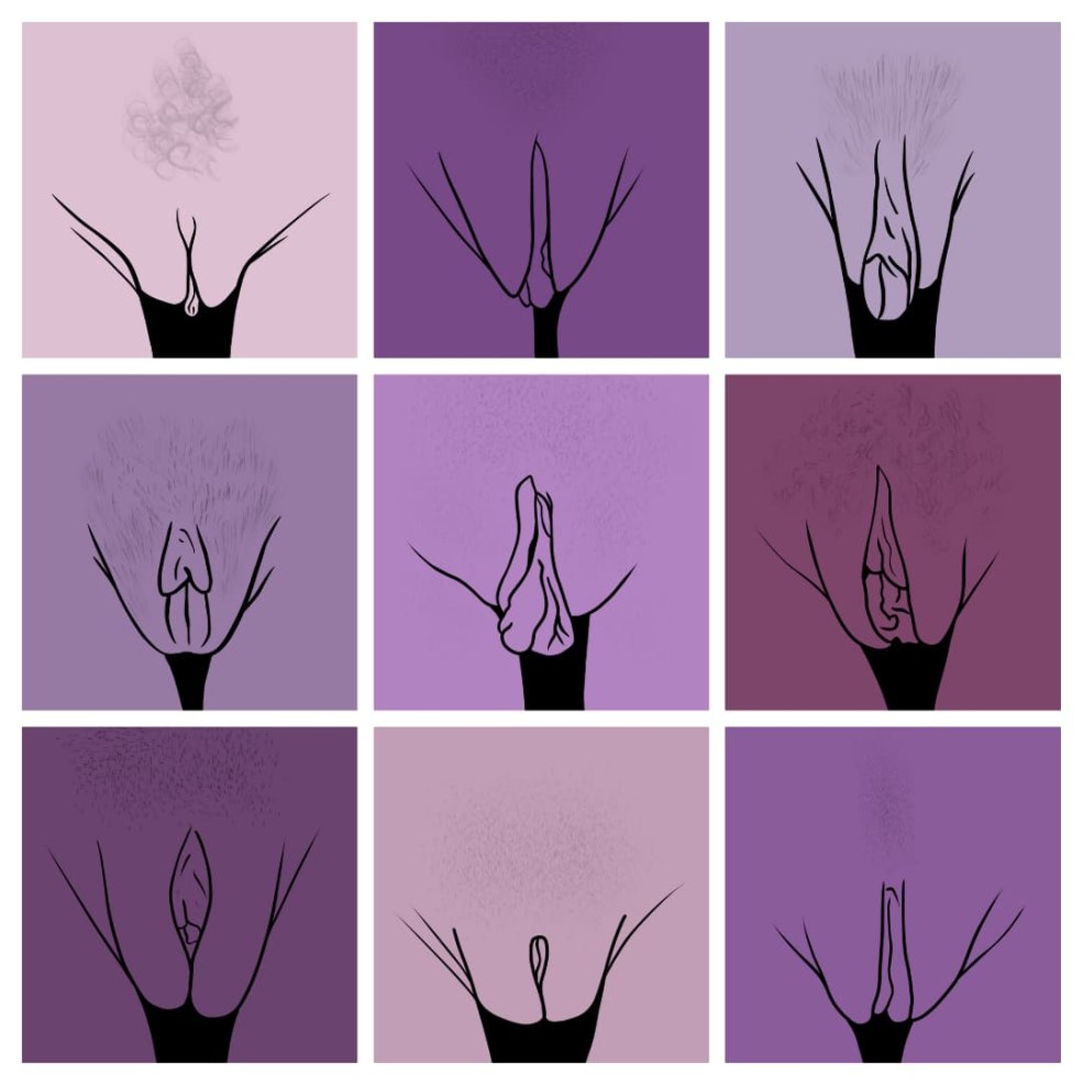 Chromosomes sexuels du sol gorchométrique: