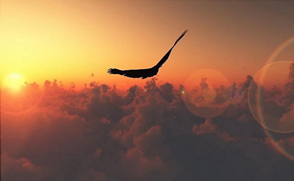 Bonne journée d'infanterie