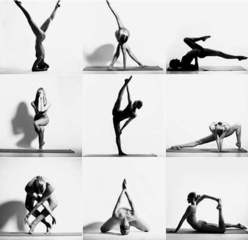 Elena Mikhailovna Podolodchikova