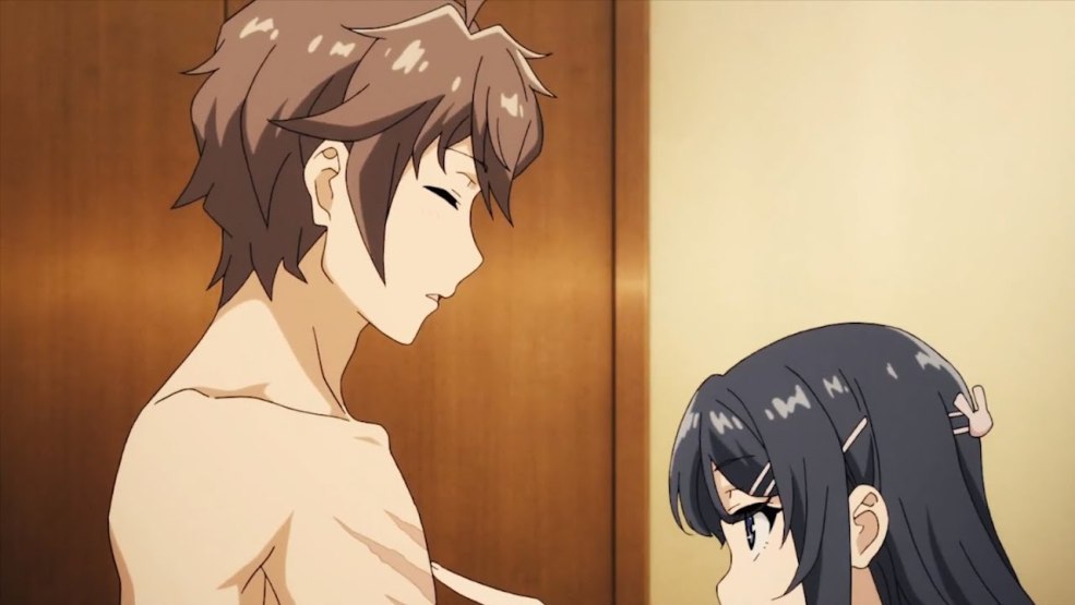 Zhabo Wipers Skoda Rapid