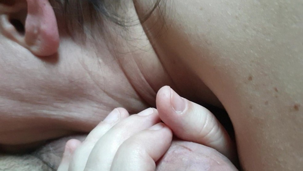 Les plus gros œufs masculins