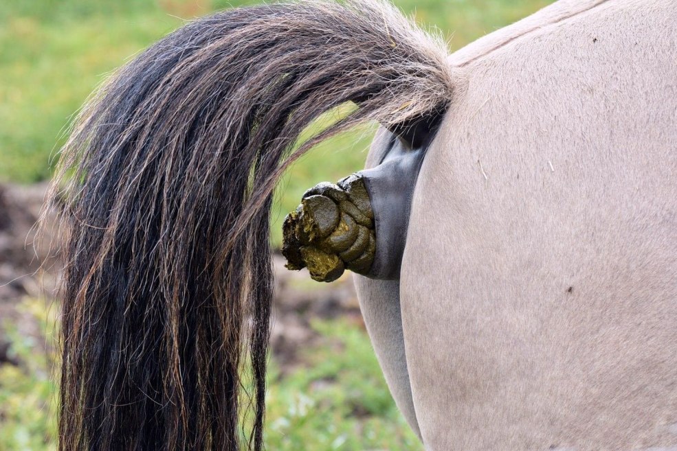 Canapé noir de la coulée