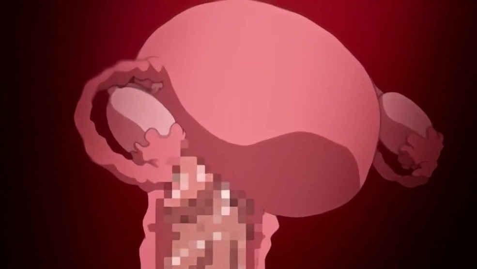 Shakira - Vidéographie officielle (1995-2017)