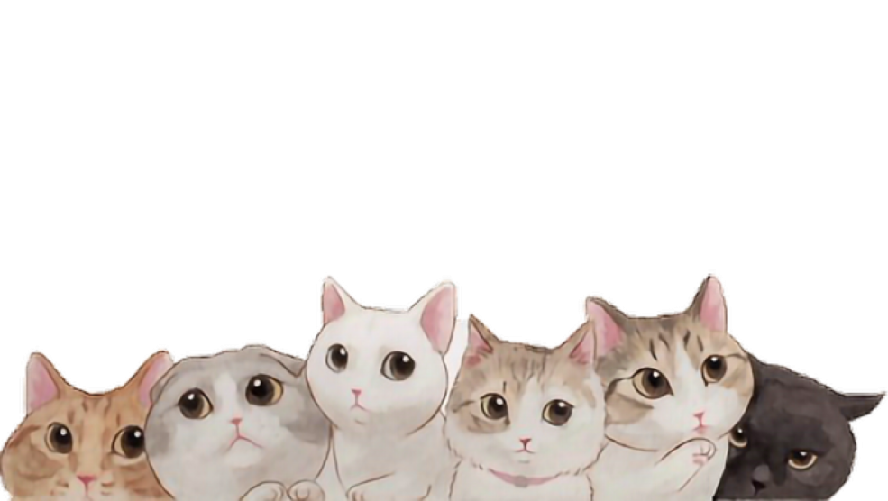 Ksenia Ivanovskaya Gato Onlifans